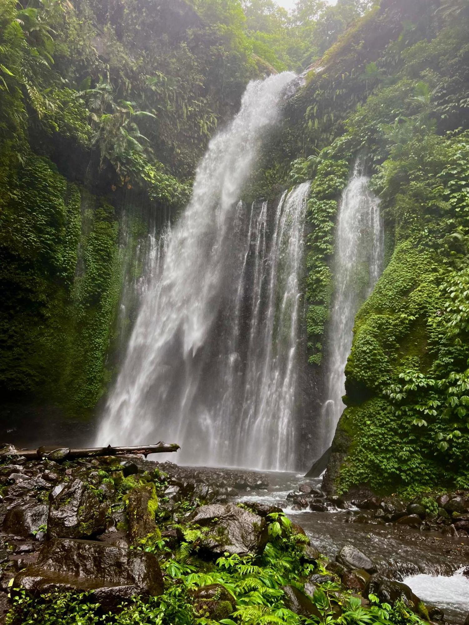 Rinjani Beach Eco Resort Tanjung  Exteriér fotografie