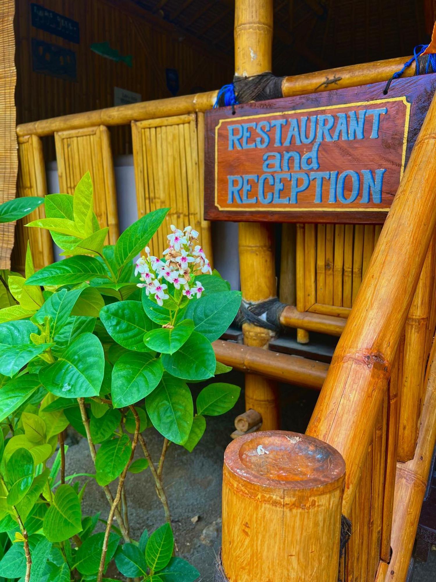 Rinjani Beach Eco Resort Tanjung  Exteriér fotografie